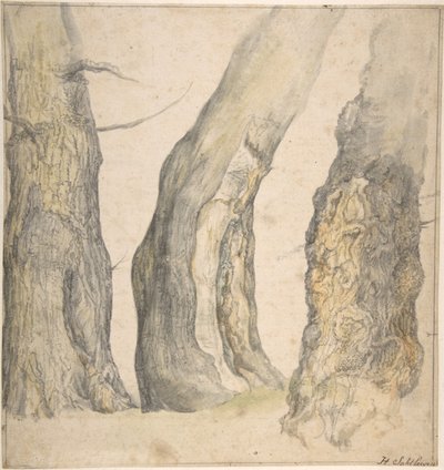 Studio di tre vecchi alberi nodosi da Jan Siberechts