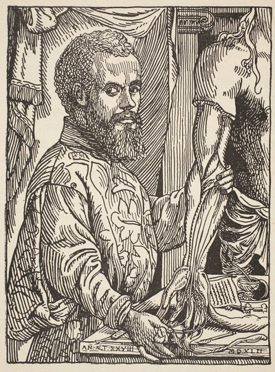 Andre Vesale, copia di Boris Mestchersky, illustrazione da Histoire de la Nation Francaise, Sciences, Volumi I e II, di Gabriel Hanotaux, 1924 da Jan Stephen van Calcar