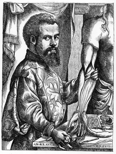 Ritratto di Andreas Vesalius (1514-64) dal suo libro 