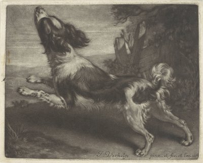 Cane che corre, possibilmente uno spagnolo da Jan Verkolje (I)
