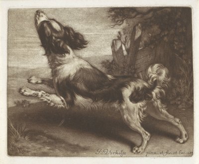 Cane che corre, forse uno spaniel da Jan Verkolje (I)
