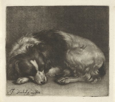 Cane addormentato, probabilmente uno spaniel da Jan Verkolje (I)