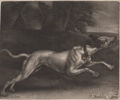 Un cane che corre da Jan Verkolje