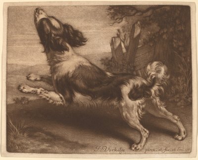Uno spaniel che salta da Jan Verkolje I