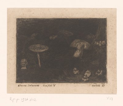 Funghi da Jan Veth (signed by artist)