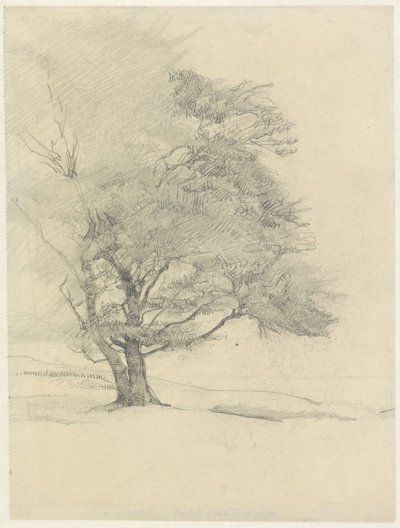  da Jan Veth