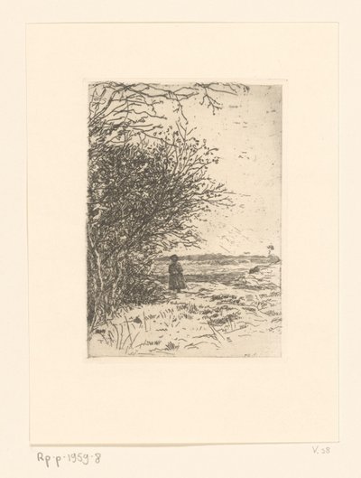 Donna in un paesaggio da Jan Veth