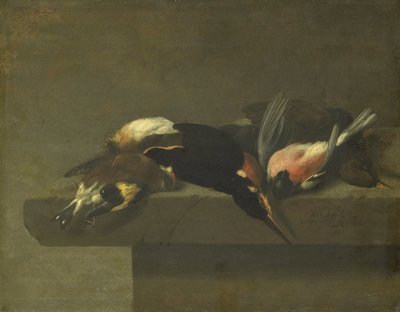 Uccelli morti da Jan Vonck