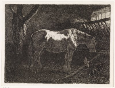 Cavallo nella stalla da Johannes Martinus Vrolijk