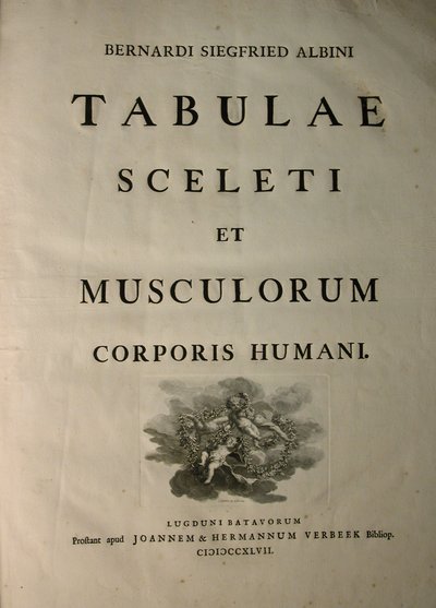 Albinus I, Pagina del titolo, da 