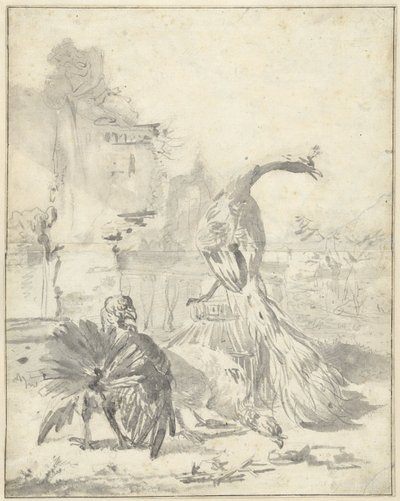 Cortile con un pavone e due tacchini da Jan Baptist Weenix