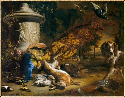 Natura morta con pavone e cane o I prodotti della caccia. 1696 ... da Jan Weenix
