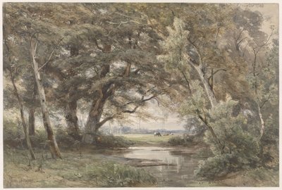Acqua sotto gli alberi alla fine di un bosco da Jan Willem van Borselen