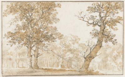 Bosco dell