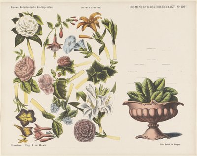 Come fare un mazzo di fiori (Nuove stampe per bambini olandesi, Stampe di Funke) da Jan de Haan
