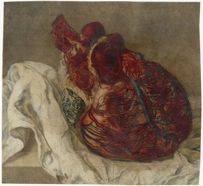 Stampe del cervello e del cuore da Jan l
