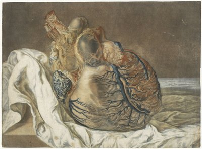 Prints of the Brain and the Heart da Jan l