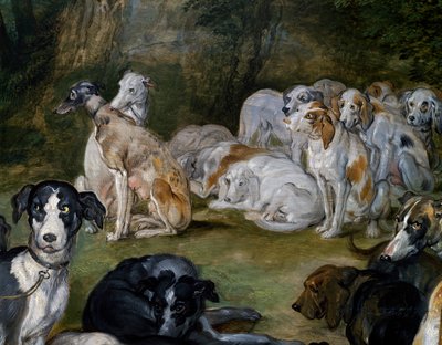 Cani (dettaglio) da Jan the Elder Brueghel