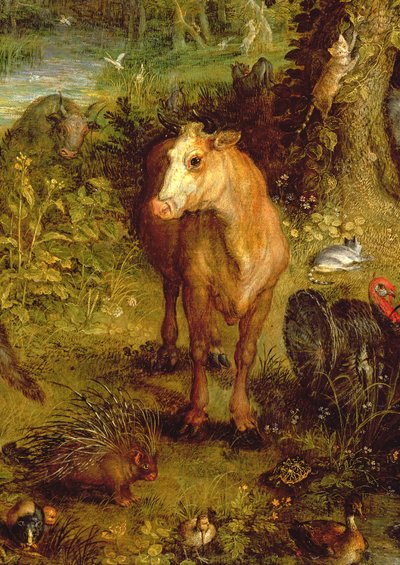 La terra o Il paradiso terrestre, (dettaglio di una mucca, un porcospino e altri animali) da Jan the Elder Brueghel