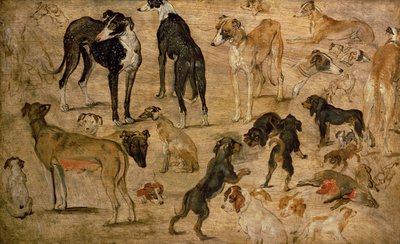Studio di cani da caccia, 1616 da Jan the Elder Brueghel