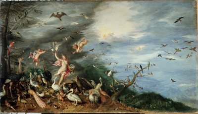 I quattro elementi: allegoria dell