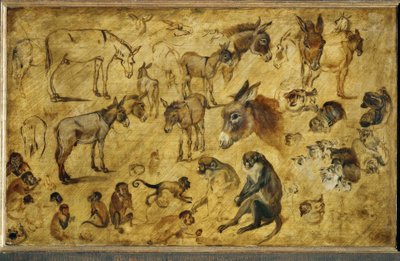 Studi di animali da Jan the Elder Brueghel