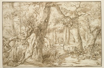 Interno della foresta con disegnatore, c.1664 da Jan the Elder Lievens