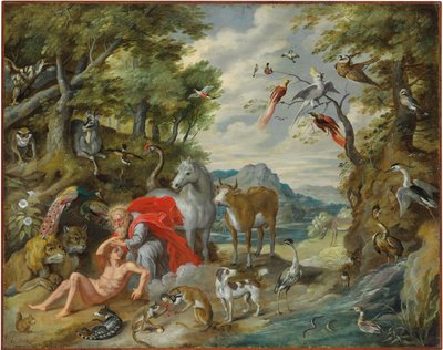 La creazione di Adamo, dalla Storia di Adamo ed Eva da Jan Brueghel the Younger