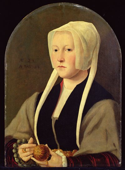 Ritratto di una Signora da Jan van (attr. to) Scorel