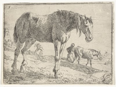 Cavallo in piedi (titolo della serie) da Jan van Aken