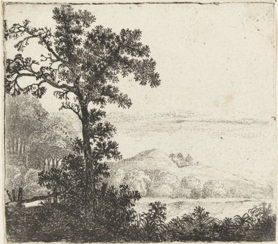 Paesaggio con albero vicino a una riva del fiume da Jan van Brosterhuyzen