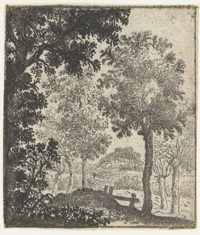 Paesaggio con grande albero in primo piano da Jan van Brosterhuyzen