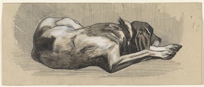 Cane dormiente, verso destra da Jan van Essen