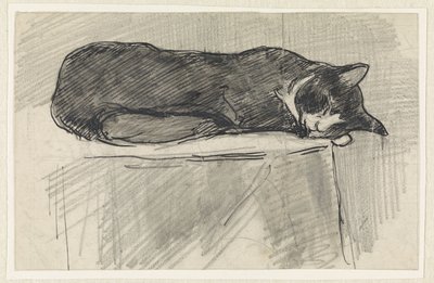 Gatto che dorme da Jan van Essen
