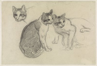 Foglio di studio con gatti da Jan van Essen