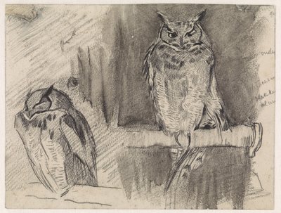 Due studi di un gufo da Jan van Essen