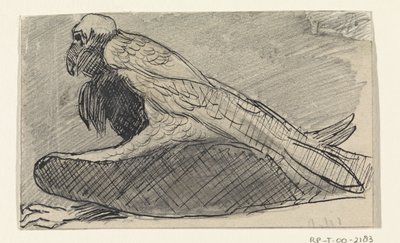 Avvoltoio seduto da Jan van Essen