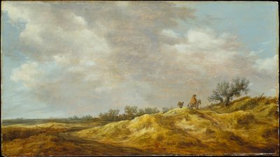  da Jan van Goyen