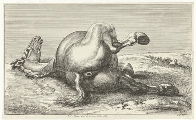 Cavallo caduto da Jan van Huchtenburg