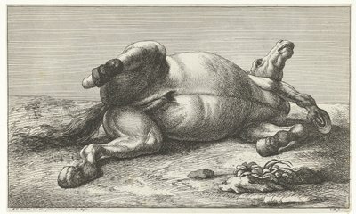 Cavallo caduto sdraiato sul fianco sinistro da Jan van Huchtenburg