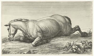 Cavallo caduto sdraiato sul ventre (Cavalli caduti) da Jan van Huchtenburg