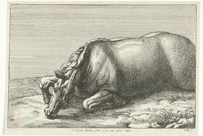 Cavallo caduto visto sul fianco sinistro (Gesneuvelde paarden) da Jan van Huchtenburg