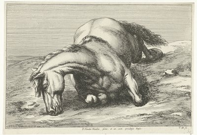 Cavallo caduto sul fianco destro da Jan van Huchtenburg