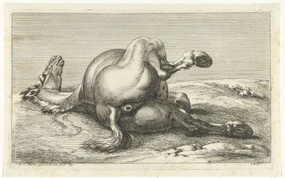 Cavallo caduto visto da dietro da Jan van Huchtenburg