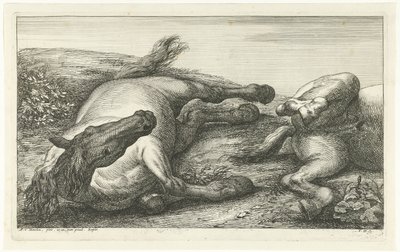 Due cavalli caduti, di cui uno visto di fronte da Jan van Huchtenburg