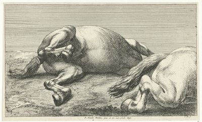Due cavalli caduti, di cui uno visto di lato da Jan van Huchtenburg