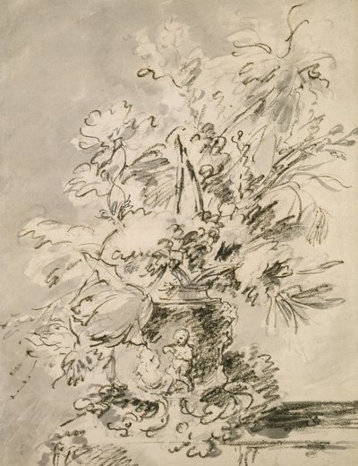Fiori in un