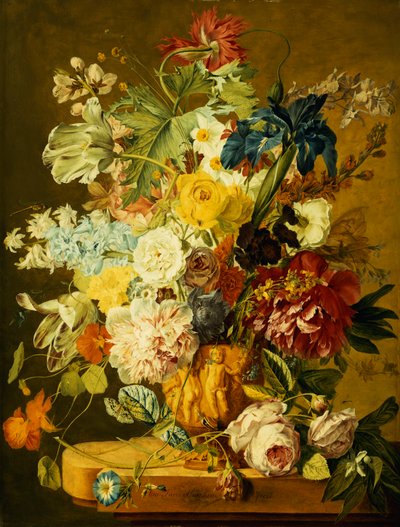 Rose, peonie, tulipani, gloria del mattino, un