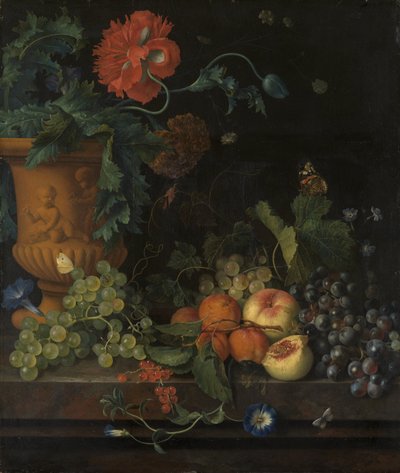 Vaso di terracotta con fiori e frutti da Jan van Huysum