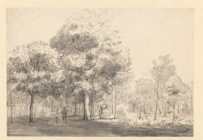 Veduta del Haarlemmerhout, Haarlem da Jan van Kessel (attributed to)